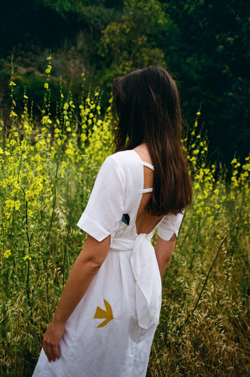 VESTIDO BANES EMBROIDERY WHITE