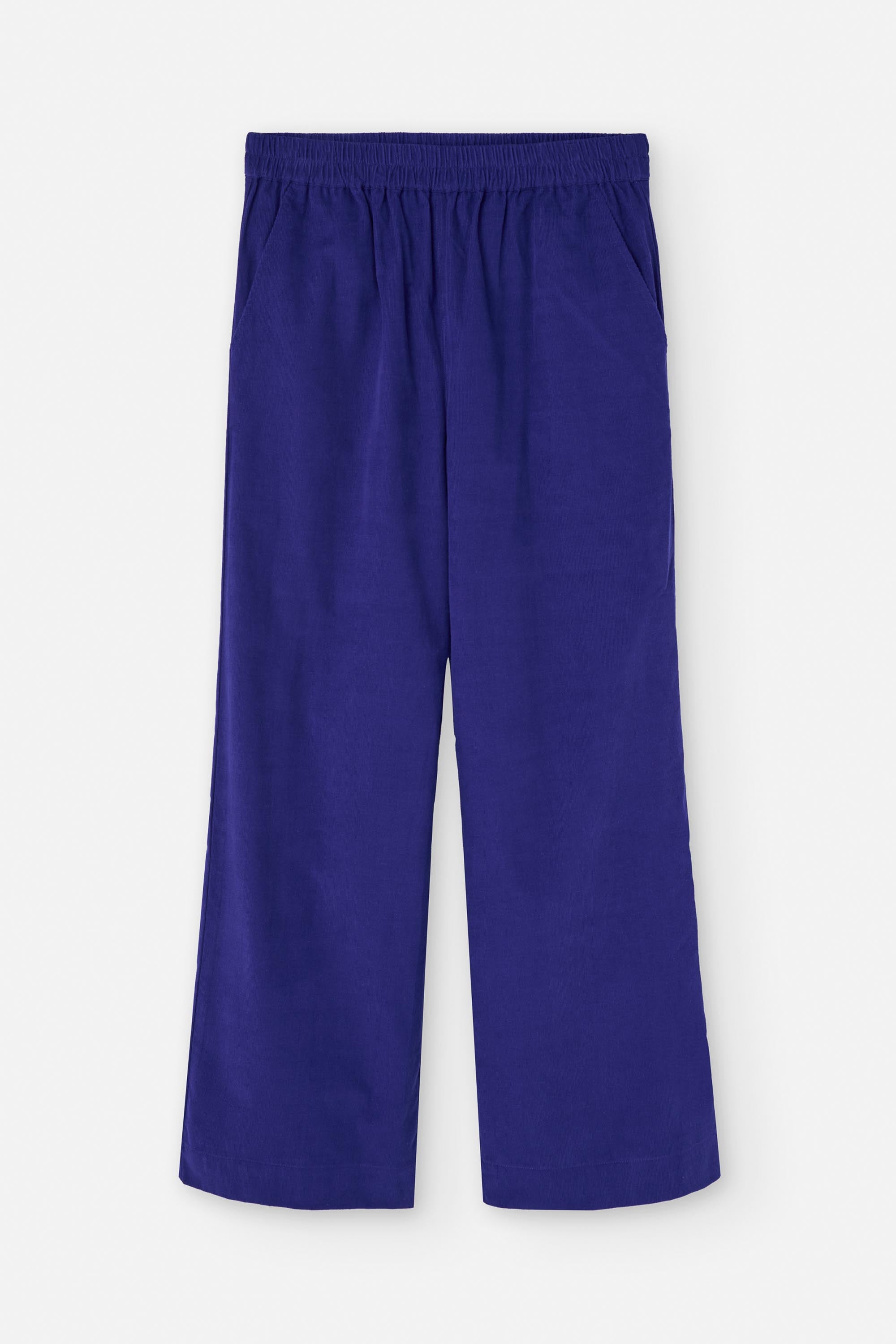 HOVART PANTS ROYAL BLUE