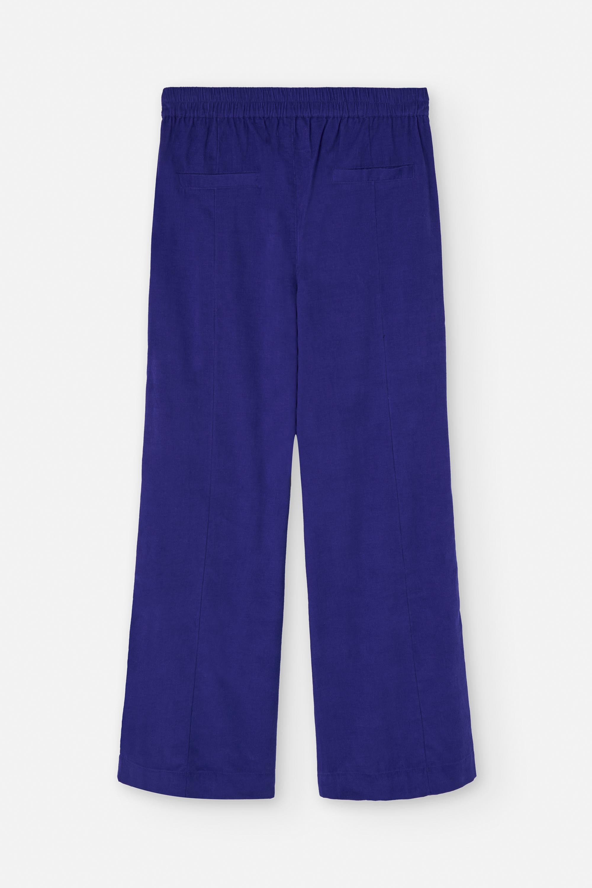 HOVART PANTS ROYAL BLUE