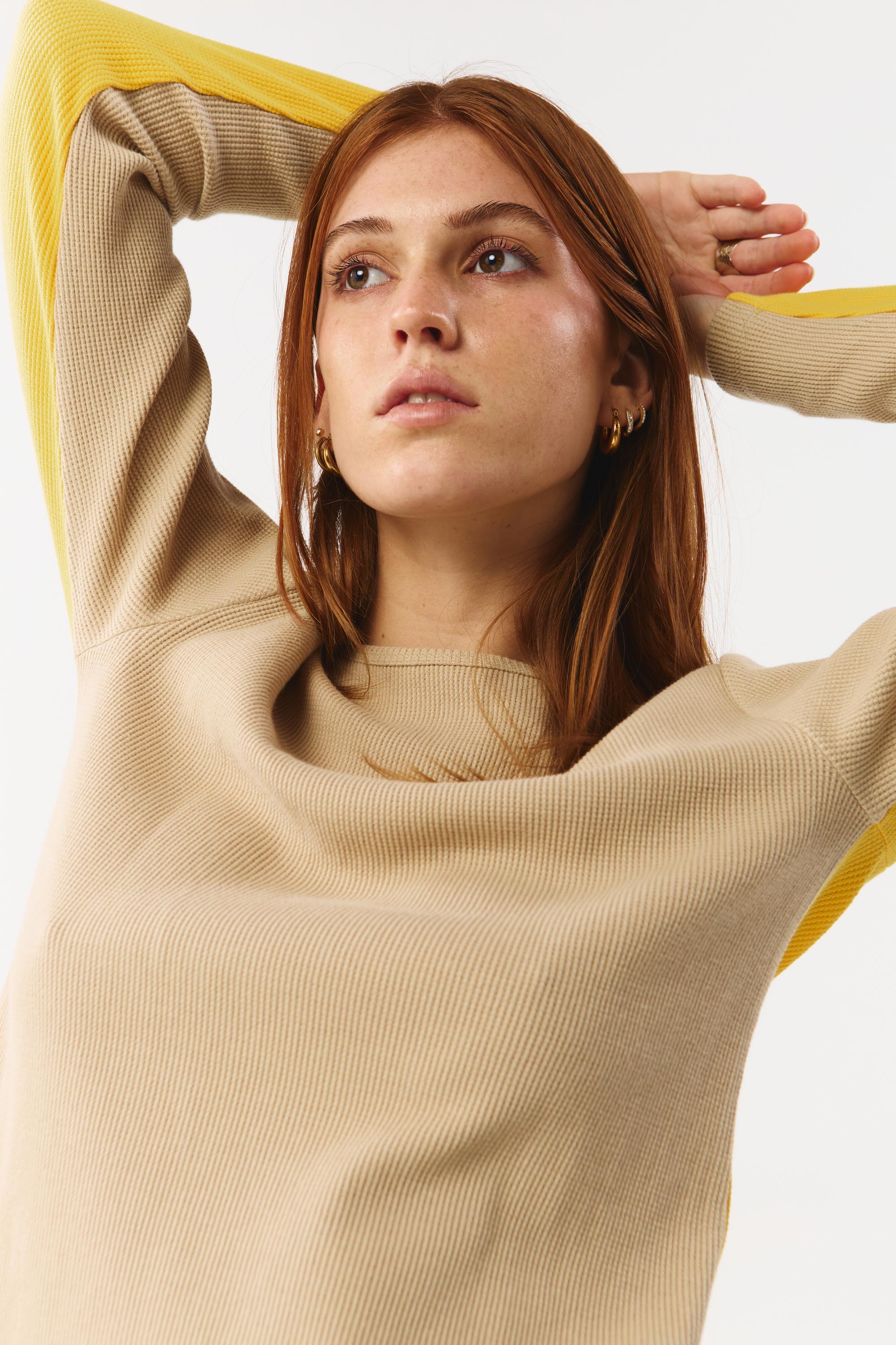 ALBI TOP BICOLOR MUSTARD